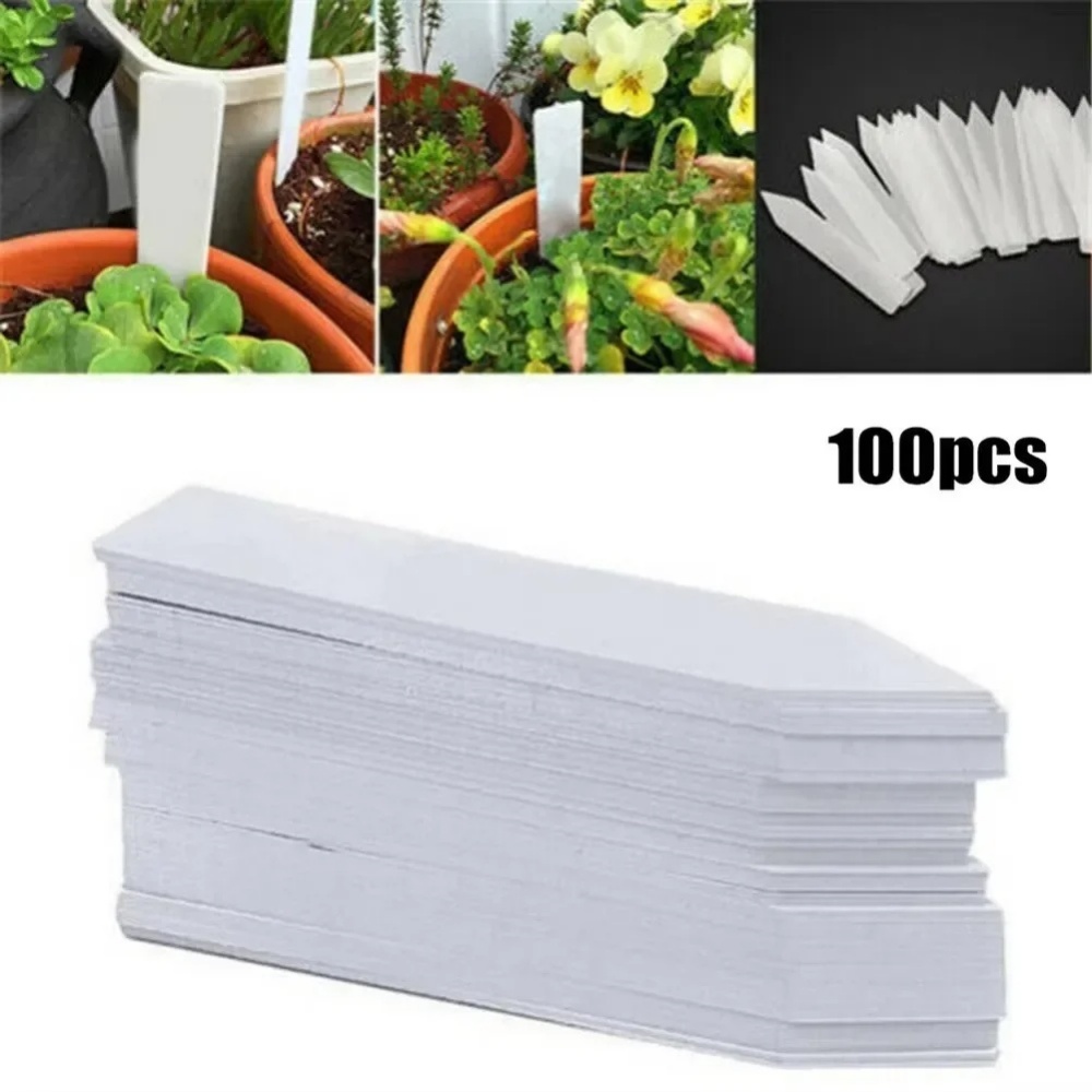 100 Buah Label Tanaman Aksesor - Embroidery Writing ulasan dan harga